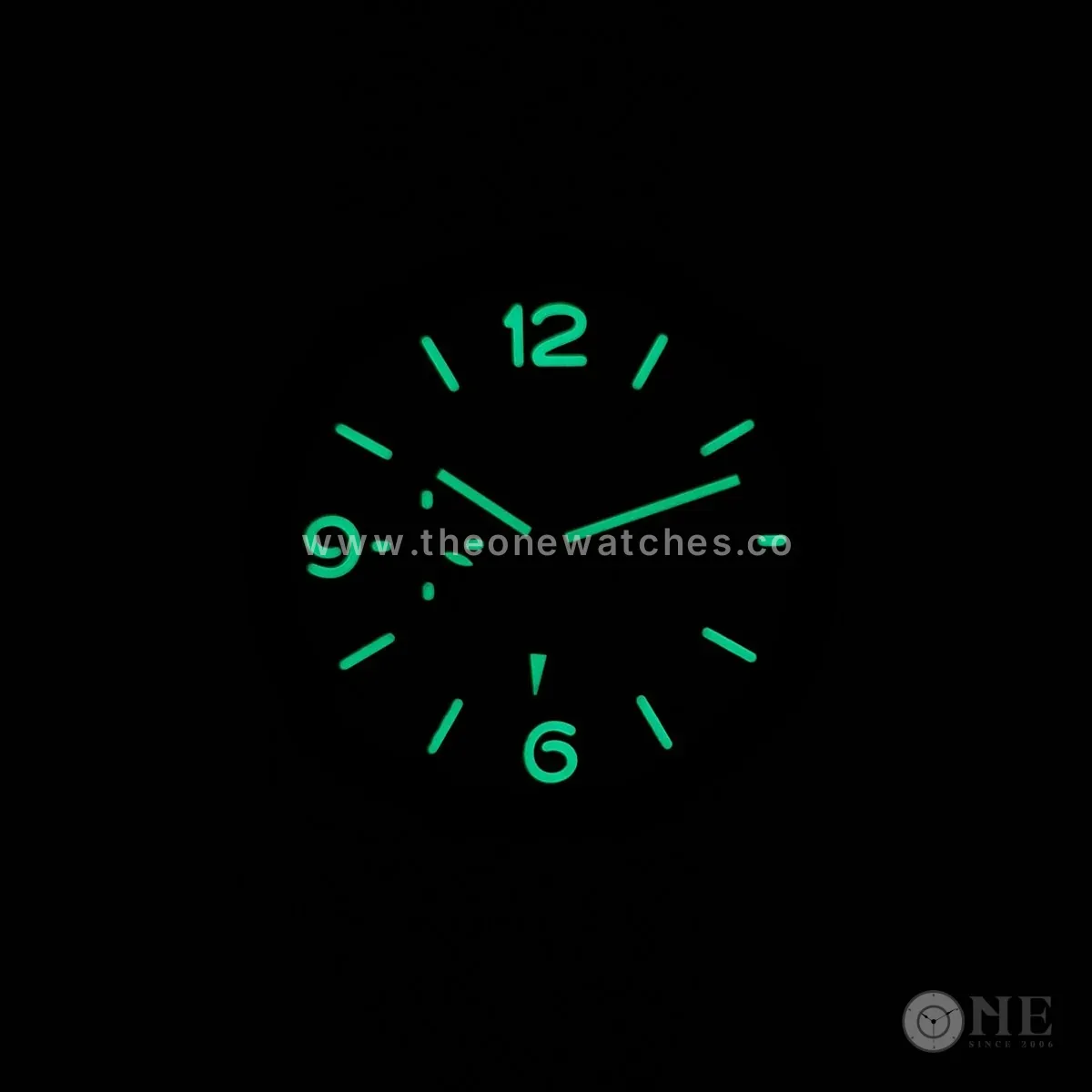 PAM1056 Luminor 1950 3 Days GMT ”Mahendra Singh Dhoni“ 44mm - Image 11